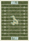 South Florida Bulls 6x8 Homefield Interior Rug - Green