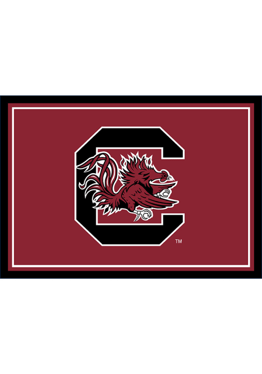 South Carolina Gamecocks 3x4 Area Interior Rug - Garnet