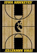 Iowa Hawkeyes 4x6 Courtside Interior Rug - Black