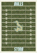 South Florida Bulls 8x11 Homefield Interior Rug - Green