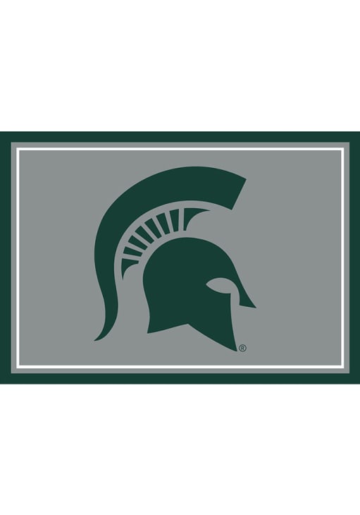 Michigan State Spartans 3x4 Area Interior Rug - Ash