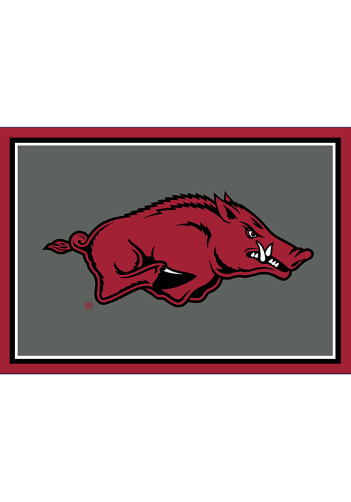 Arkansas Razorbacks 3x4 Area Interior Rug - Ash